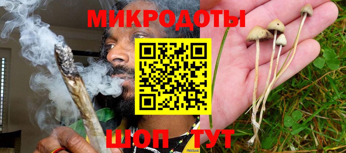 Чапаевск  Галлюциногенные грибы GOLDEN TEACHER  Вход с VPN 